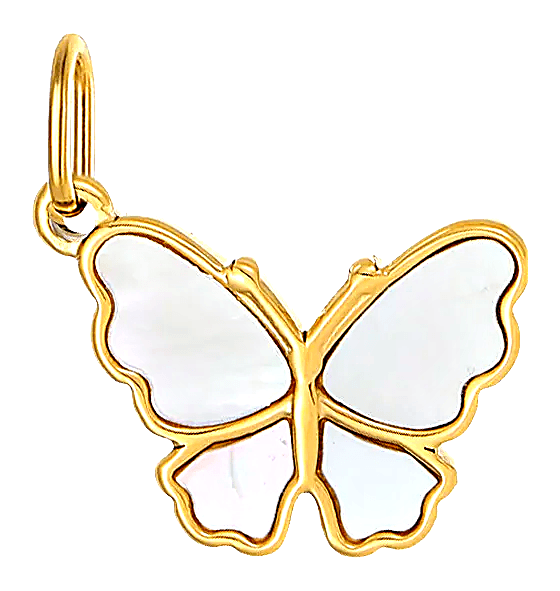 Papillon nacré
