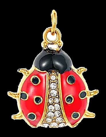 Coccinelle