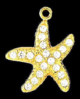 Étoile de mer cristal
