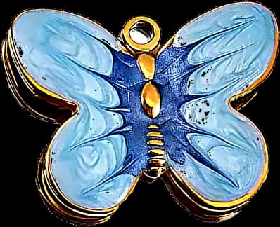 Papillon bleu nacré