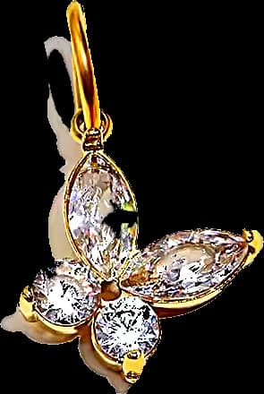 Papillon marquises