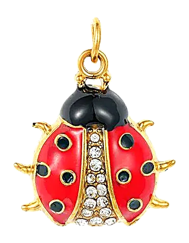 Charm Coccinelle en acier inoxydable, vu de près