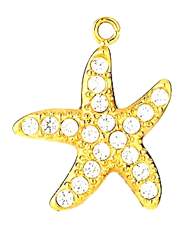 Charm Étoile de mer cristal en acier inoxydable, vu de près